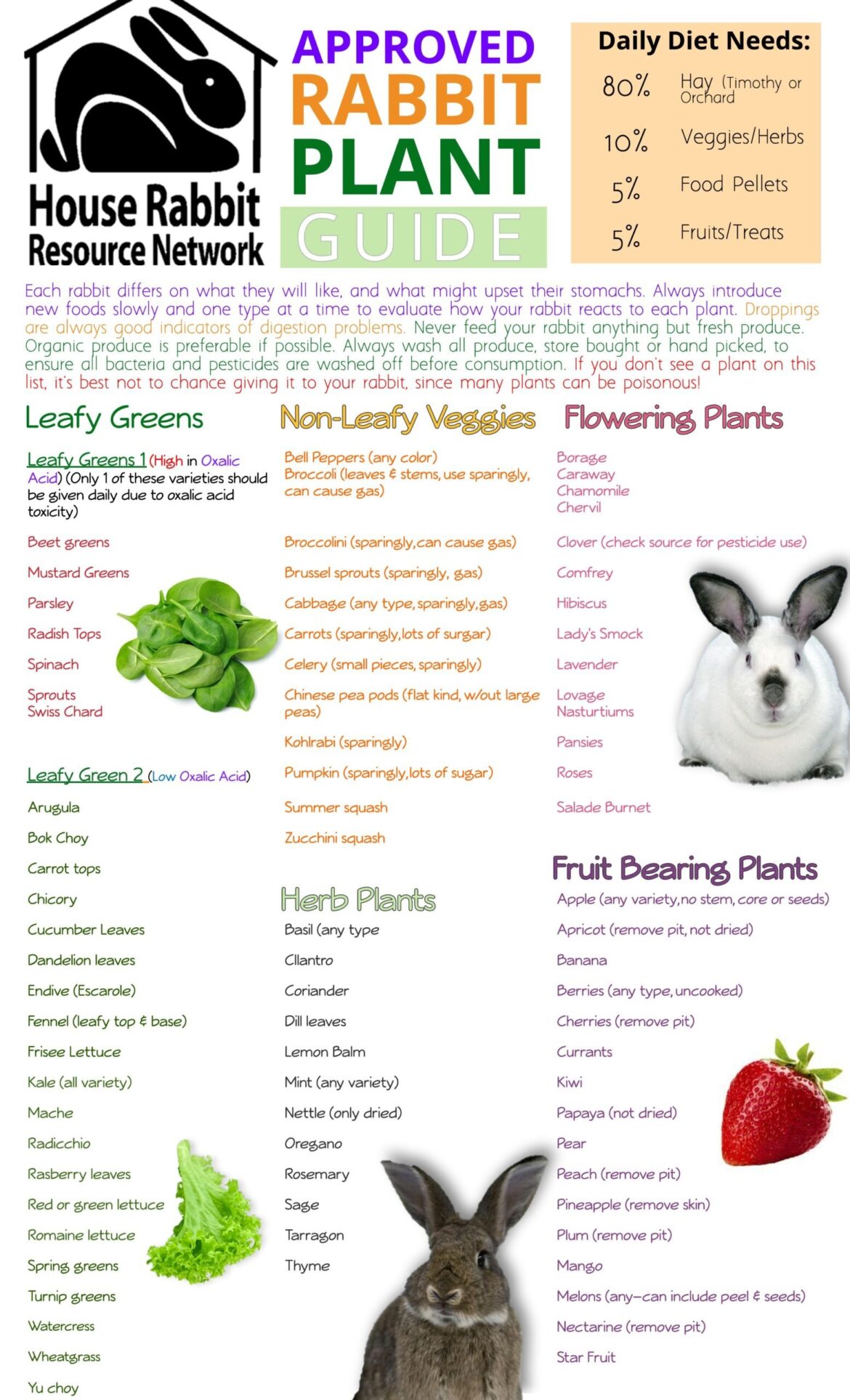 Exploring What Eats Rabbits: Nature’S Predators